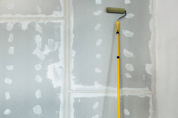 Best Mold Remediation for Rental Properties  in Harrodsburg, KY