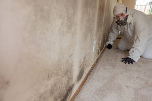 Best Residential Mold Inspection & Testing  in Harrodsburg, KY