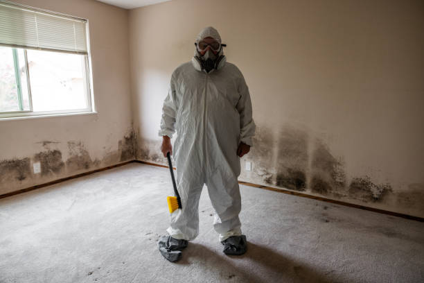 Best Mold Removal for HVAC Installations  in Harrodsburg, KY